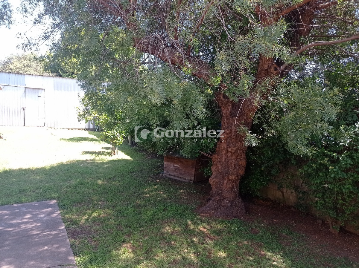 Casa ID.550 - CASA PROYECTADA EN DOS PLANTAS EN PAN DE AZÚCAR
