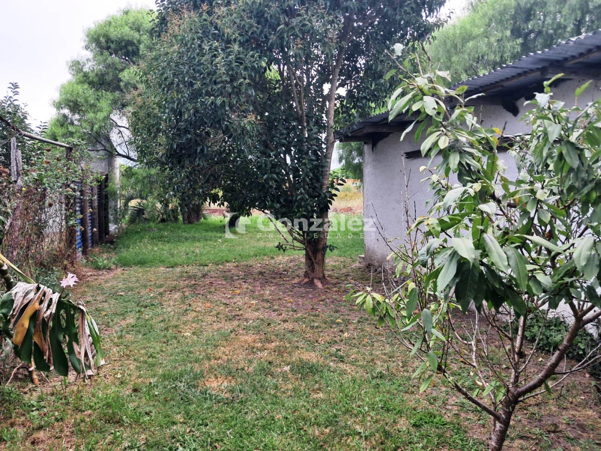 Pueblo Obrero - GoPunta - Portal Inmobiliario de Punta del Este - Maldonado