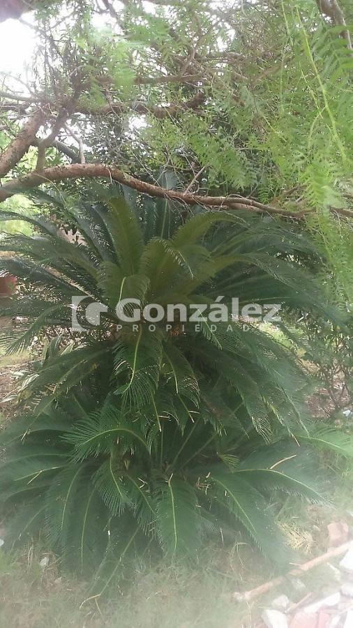Casa ID.207 - Casa en Cerros Azules, Cerro Catedral y Cerro Betete
