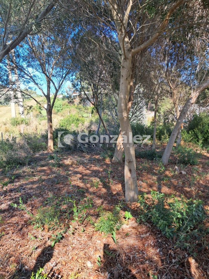 La Falda - GoPunta - Portal Inmobiliario de Punta del Este - Maldonado