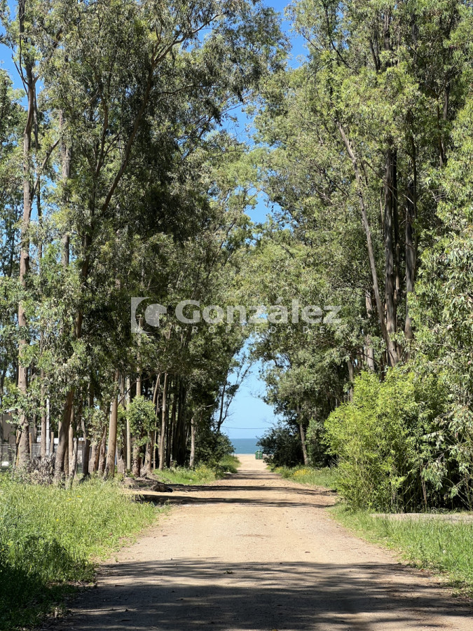 Bella Vista - GoPunta - Portal Inmobiliario de Punta del Este - Maldonado