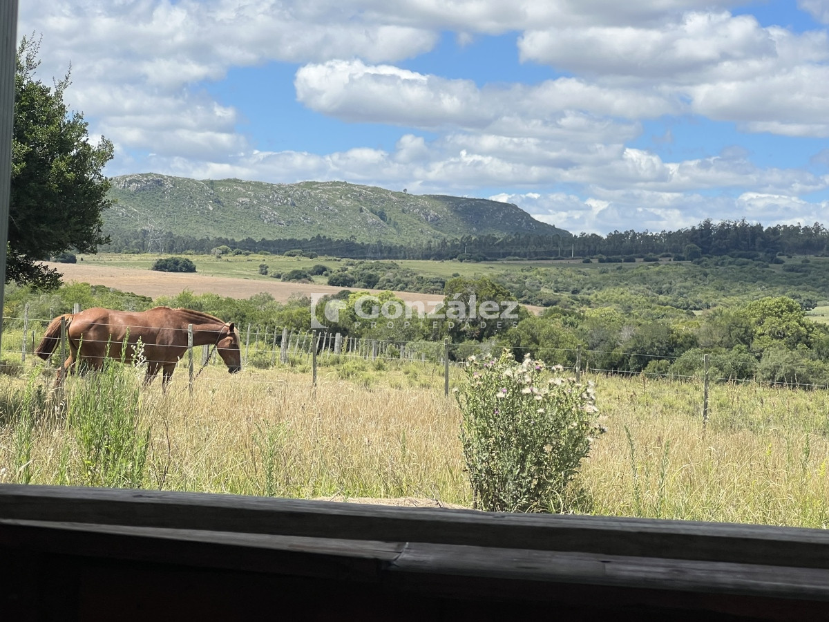 Zona Rural - GoPunta - Portal Inmobiliario de Punta del Este - Maldonado