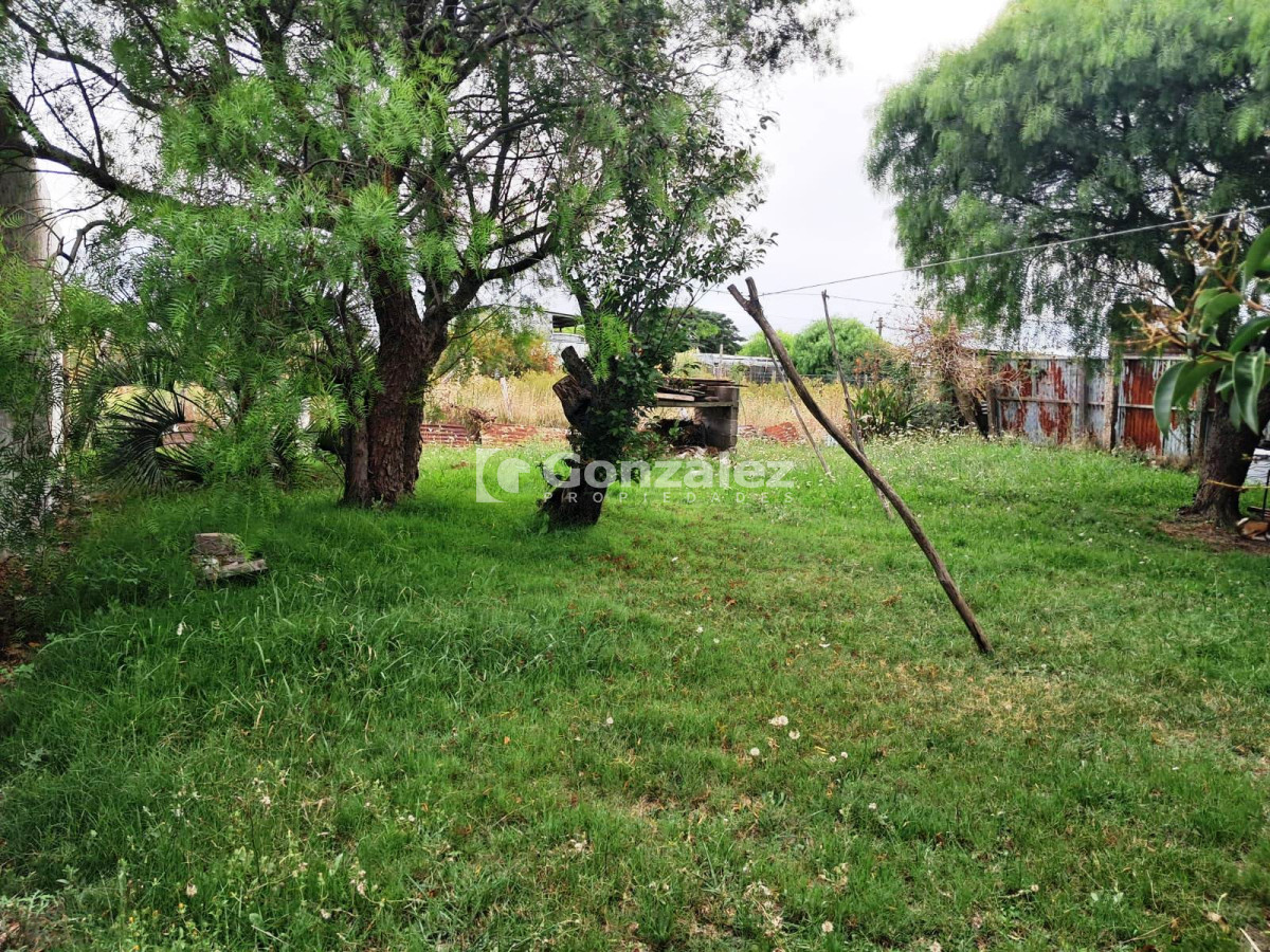Pueblo Obrero - GoPunta - Portal Inmobiliario de Punta del Este - Maldonado
