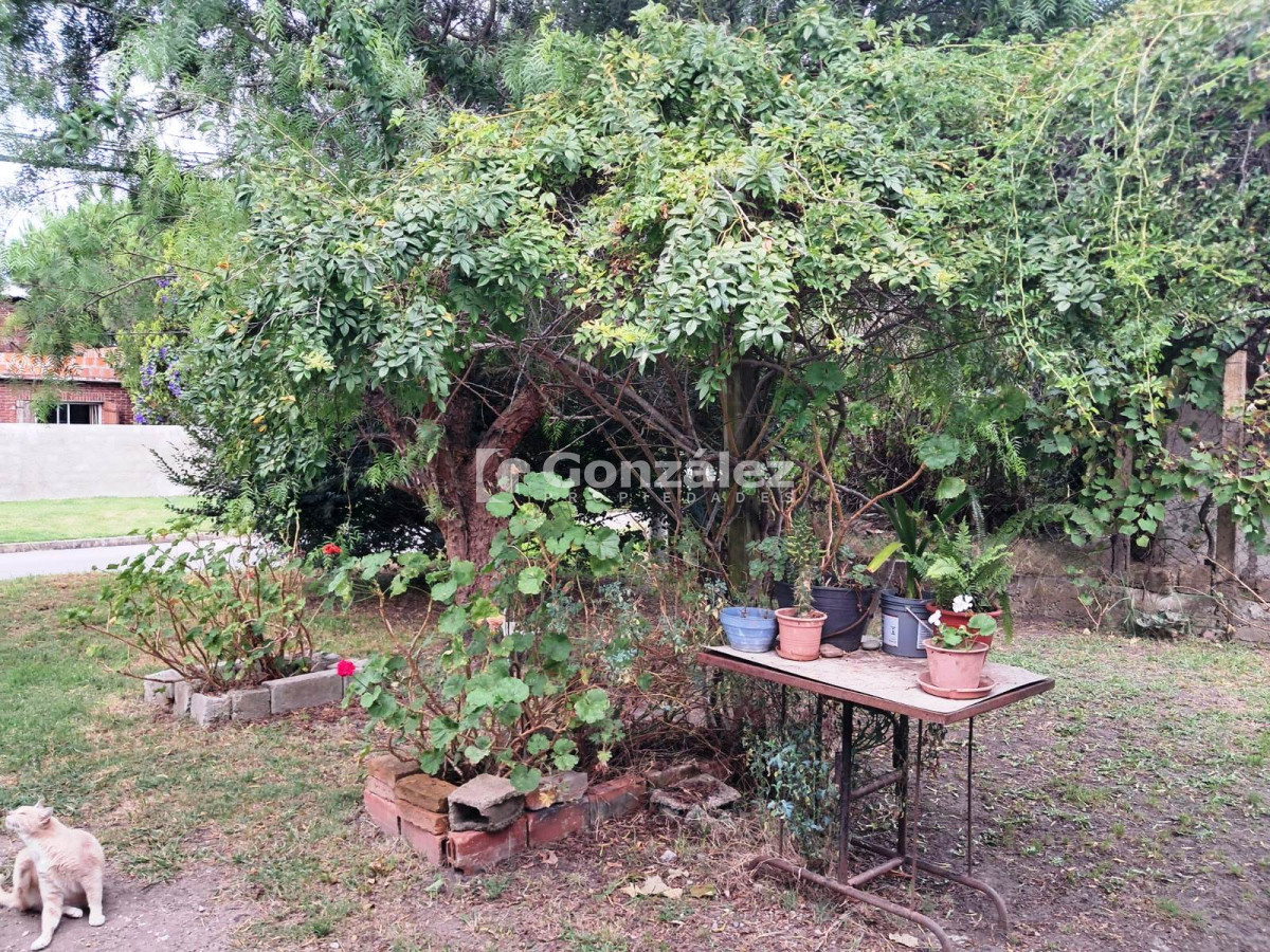 Pueblo Obrero - GoPunta - Portal Inmobiliario de Punta del Este - Maldonado