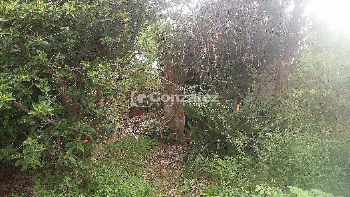 Casa ID.207 - Casa en Cerros Azules, Cerro Catedral y Cerro Betete