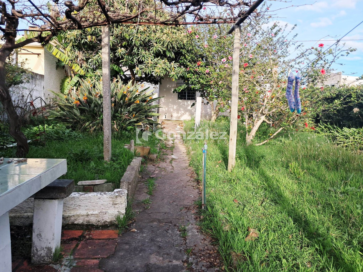 Casa ID.791 - Oportunidad: Se Venden 3 Propiedades en un mismo Padrón en Proximidades de Devoto de Avda. Piria