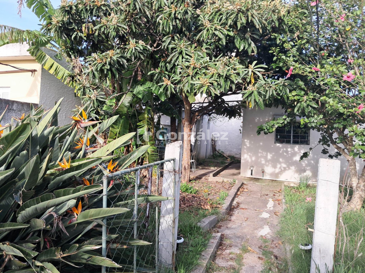 Casa ID.791 - Oportunidad: Se Venden 3 Propiedades en un mismo Padrón en Proximidades de Devoto de Avda. Piria