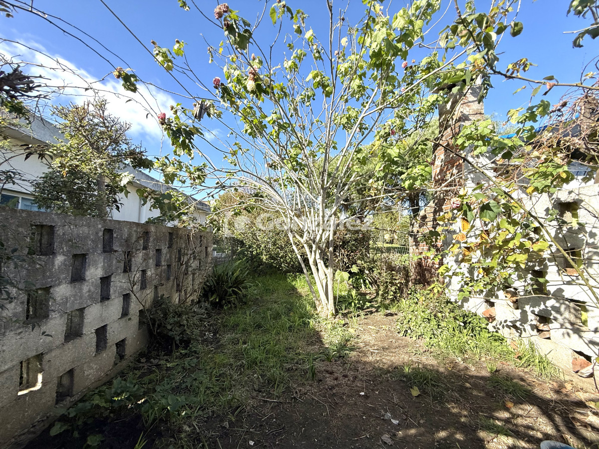 Casa ID.791 - Oportunidad: Se Venden 3 Propiedades en un mismo Padrón en Proximidades de Devoto de Avda. Piria