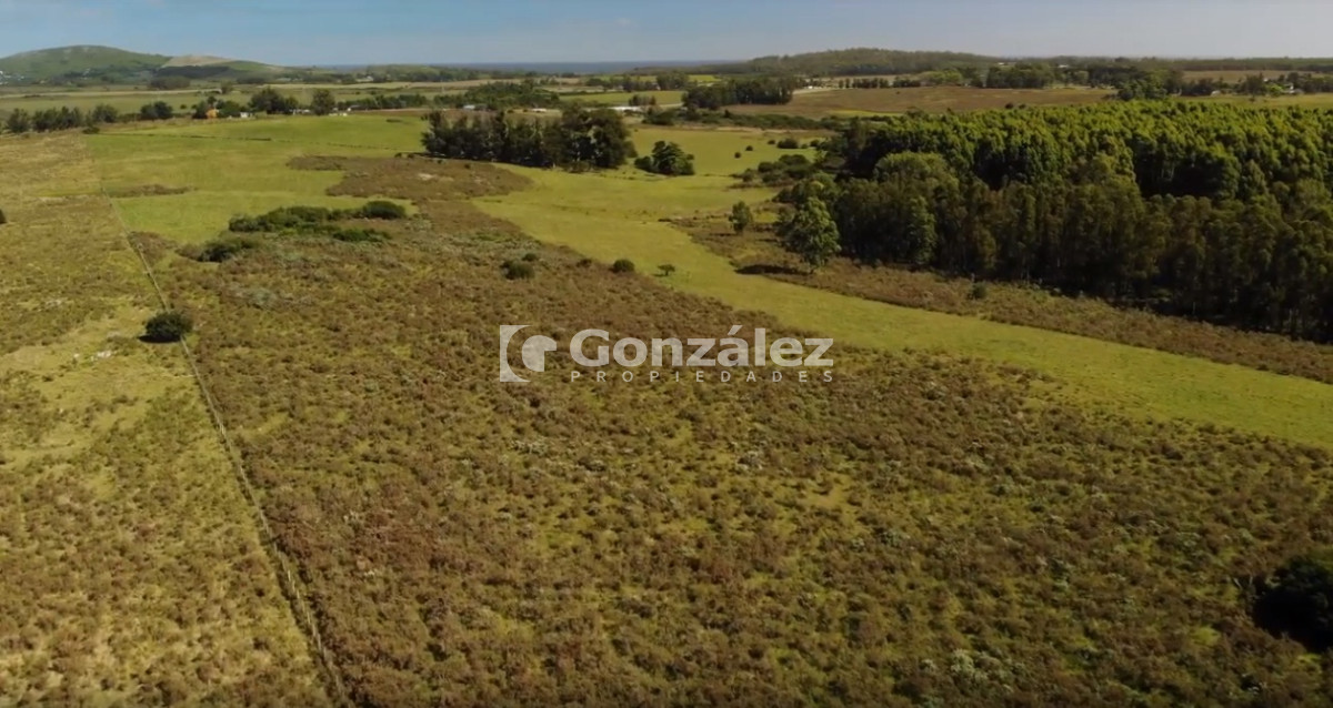 Chacra ID.340 - CAMPO IDEAL PARA INVERSIÓN TURÍSTICA