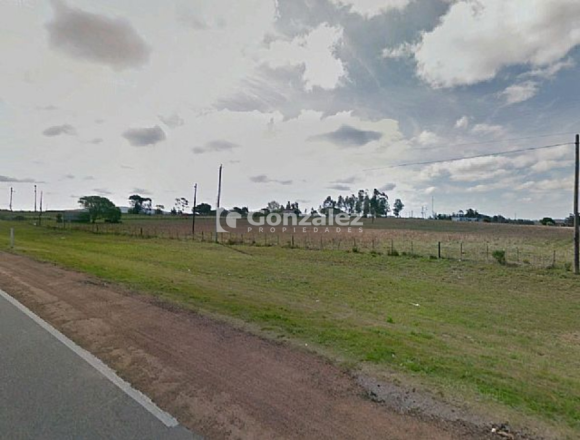 Chacra ID.335 - Chacra de casi tres hectáreas