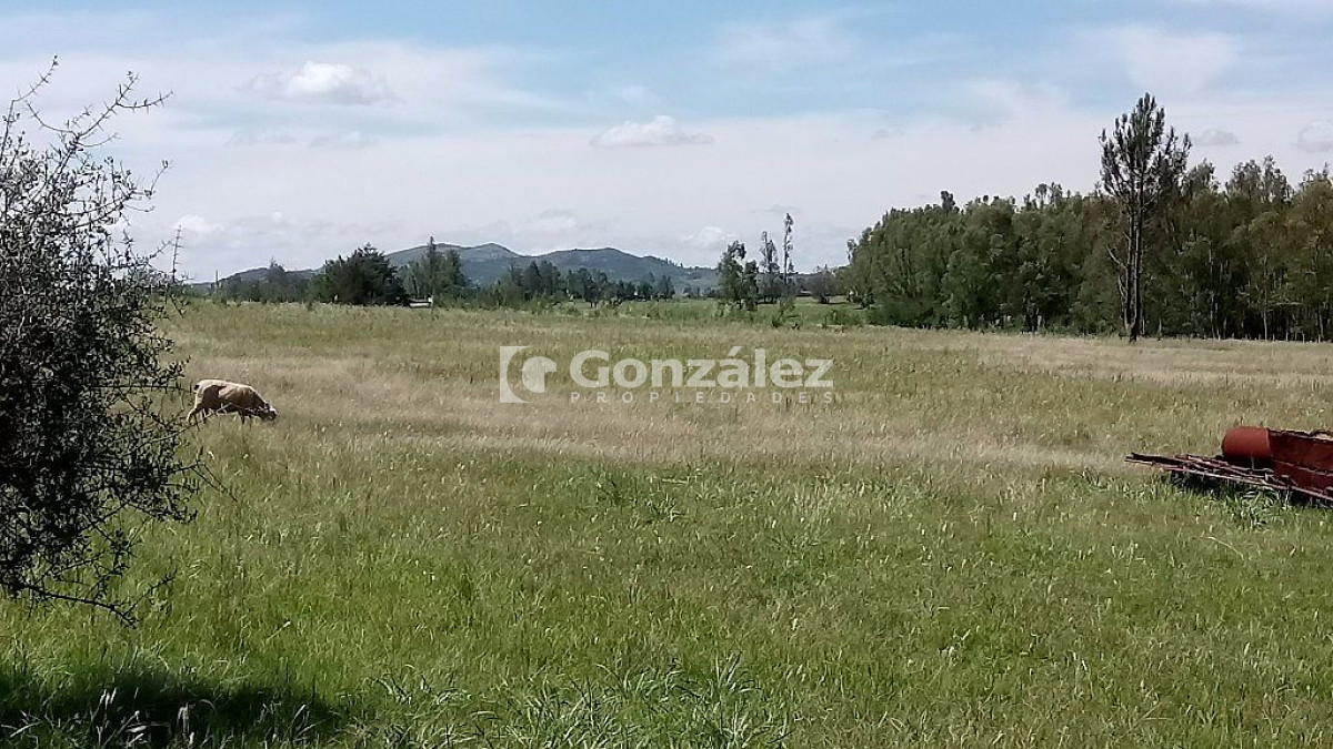 Chacra ID.335 - Chacra de casi tres hectáreas