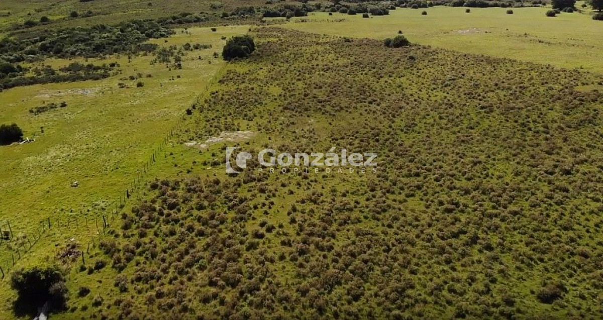 Chacra ID.340 - CAMPO IDEAL PARA INVERSIÓN TURÍSTICA