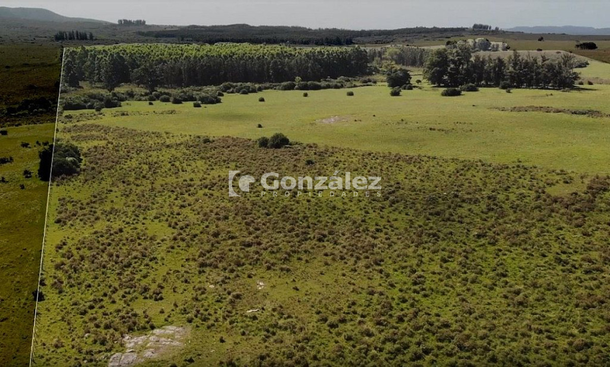 Chacra ID.340 - CAMPO IDEAL PARA INVERSIÓN TURÍSTICA