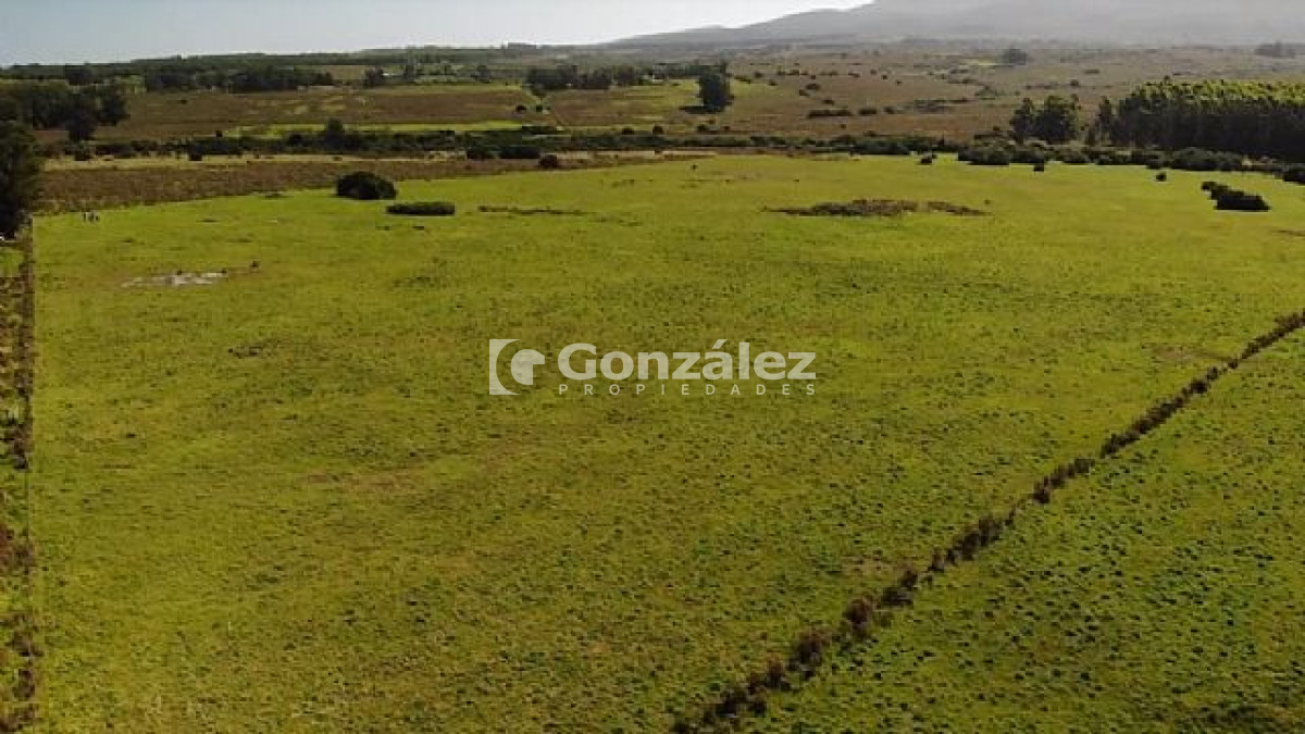 Chacra ID.340 - CAMPO IDEAL PARA INVERSIÓN TURÍSTICA