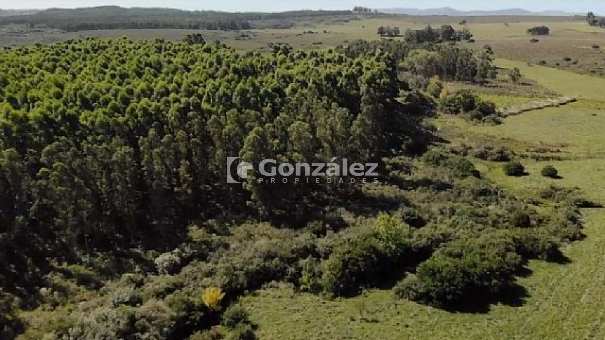 Chacra ID.340 - CAMPO IDEAL PARA INVERSIÓN TURÍSTICA