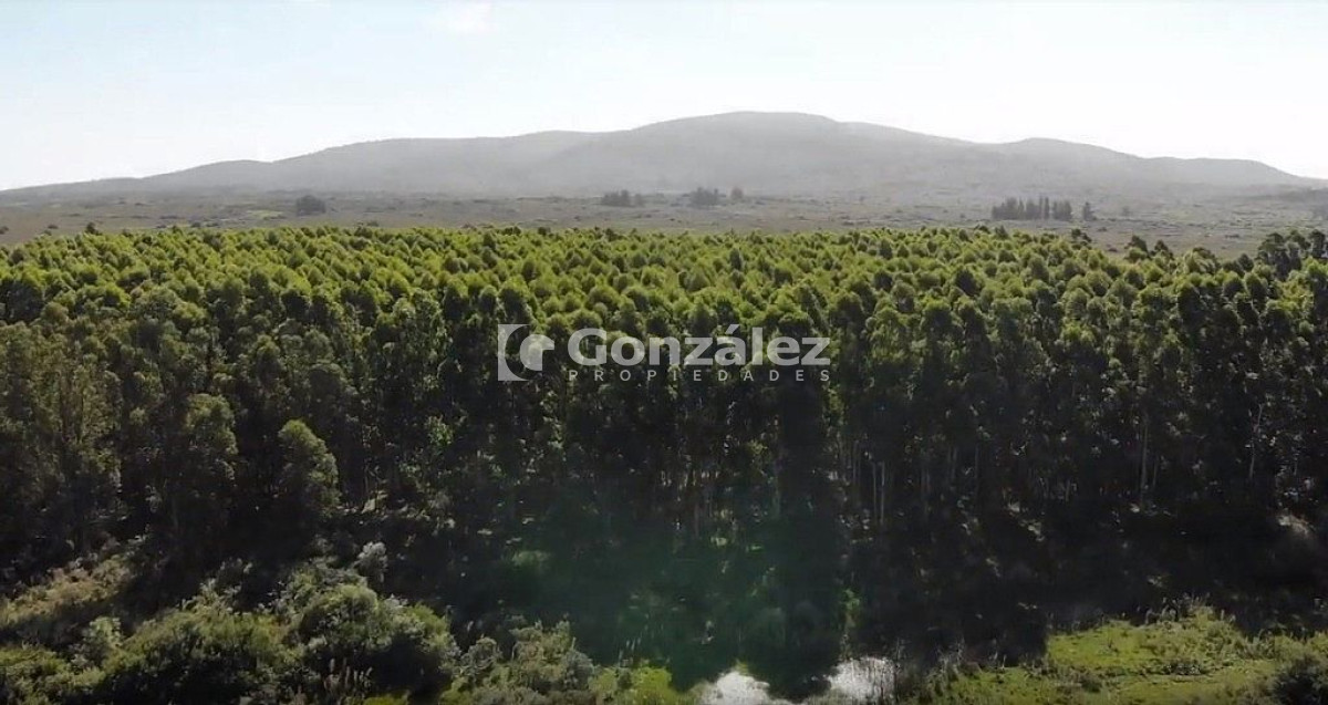 Chacra ID.340 - CAMPO IDEAL PARA INVERSIÓN TURÍSTICA