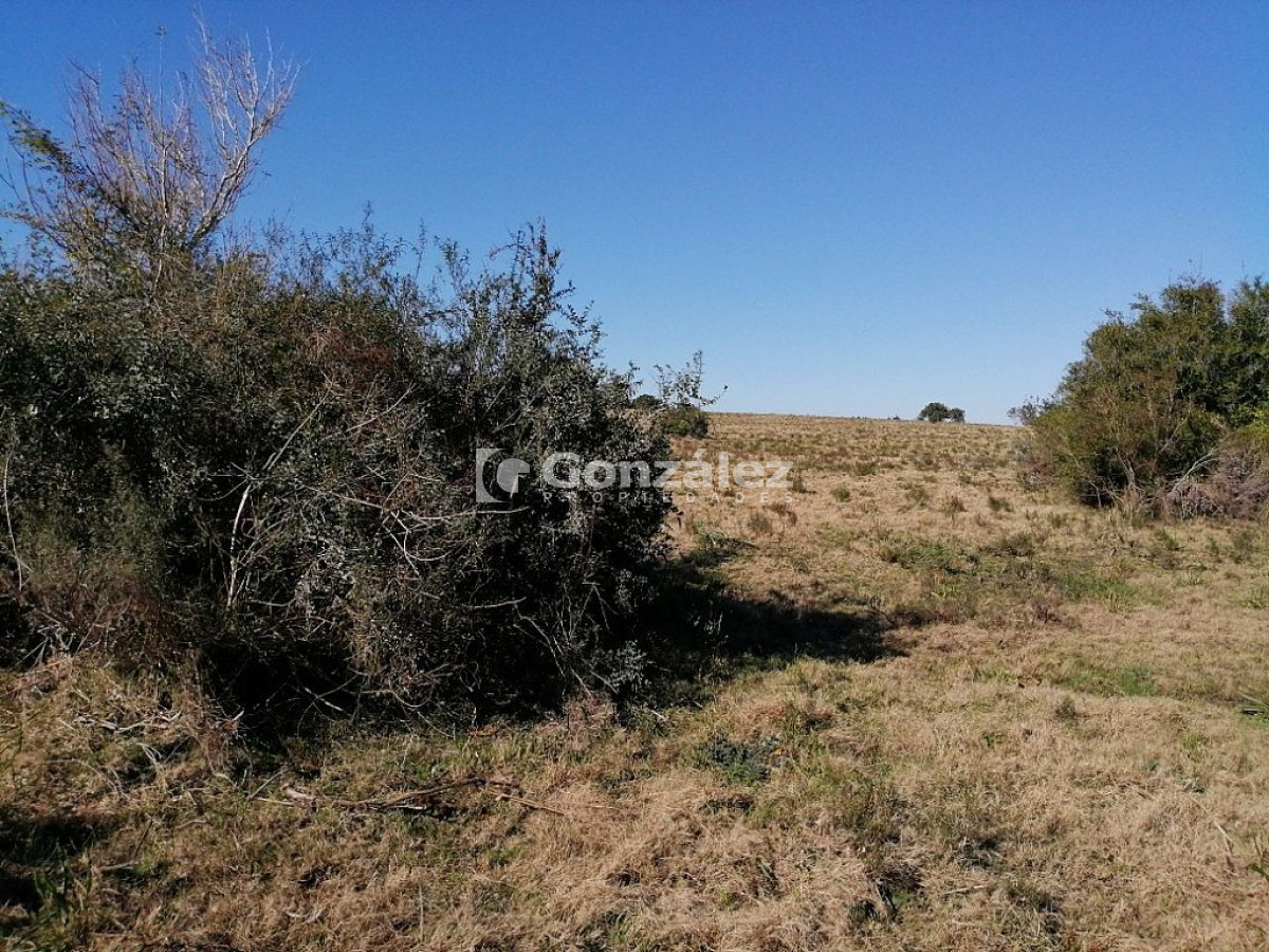 Chacra ID.340 - CAMPO IDEAL PARA INVERSIÓN TURÍSTICA