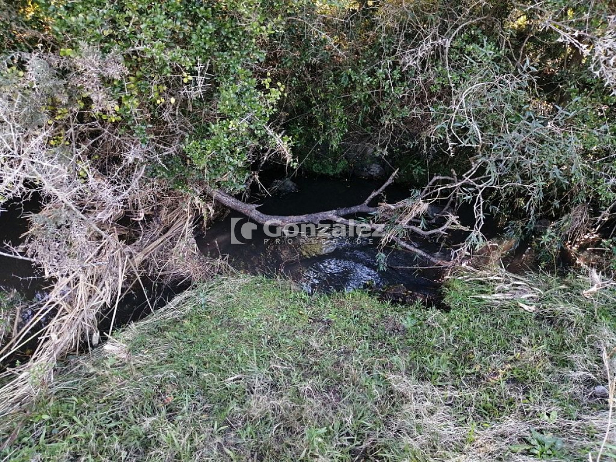 Chacra ID.340 - CAMPO IDEAL PARA INVERSIÓN TURÍSTICA