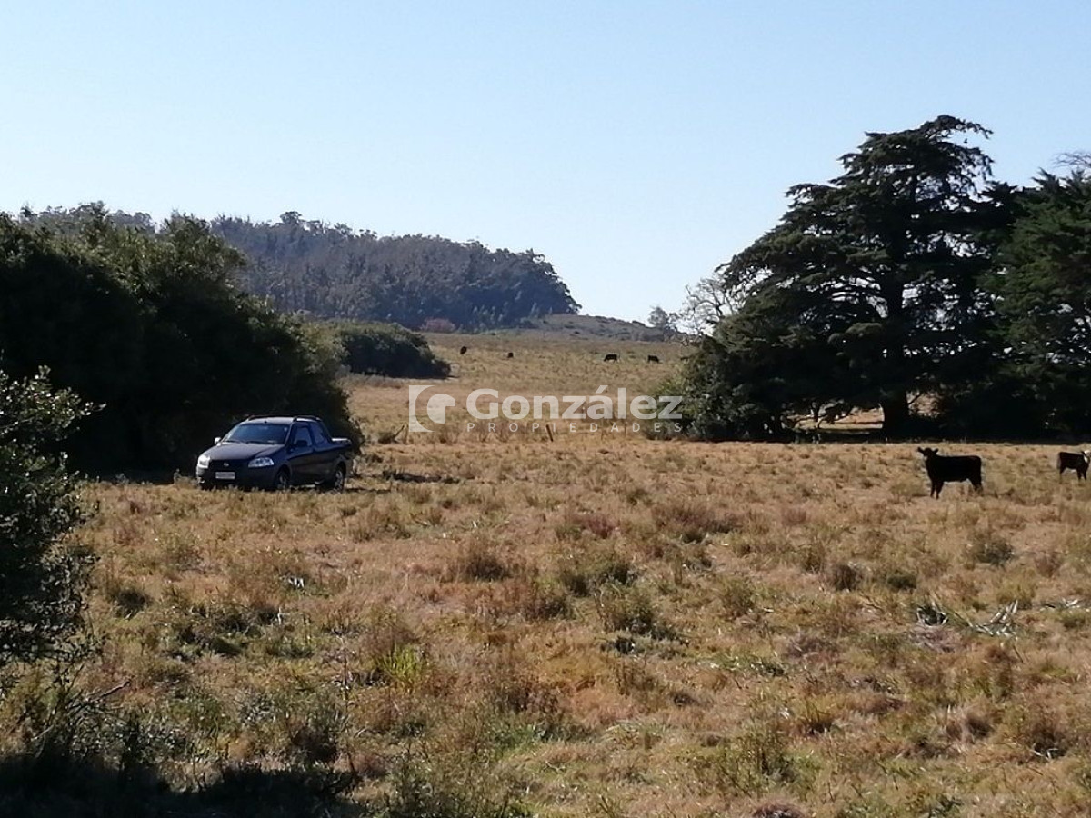 Chacra ID.340 - CAMPO IDEAL PARA INVERSIÓN TURÍSTICA