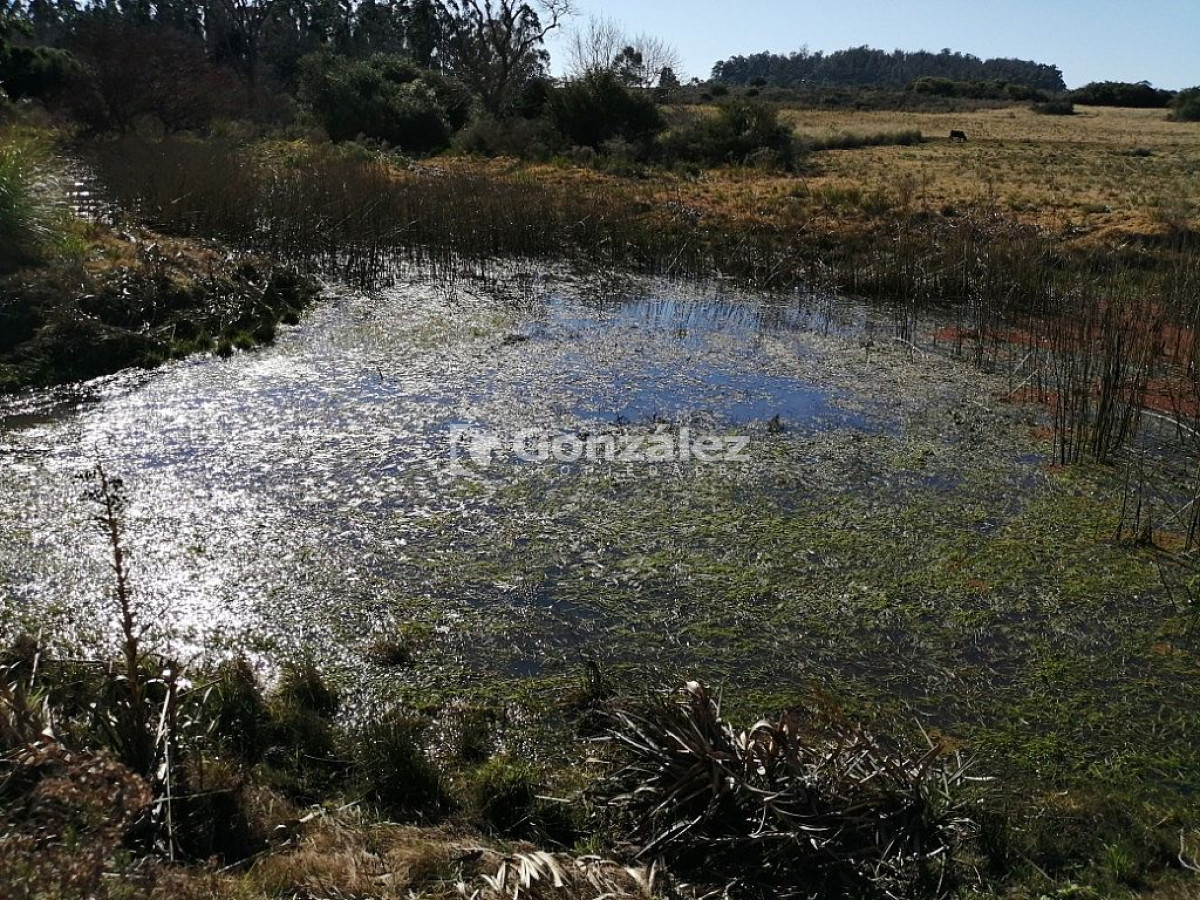 Chacra ID.340 - CAMPO IDEAL PARA INVERSIÓN TURÍSTICA