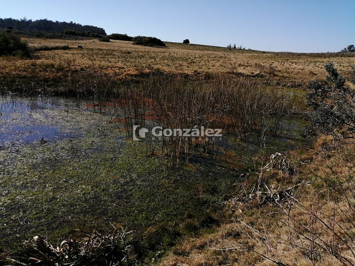Chacra ID.340 - CAMPO IDEAL PARA INVERSIÓN TURÍSTICA