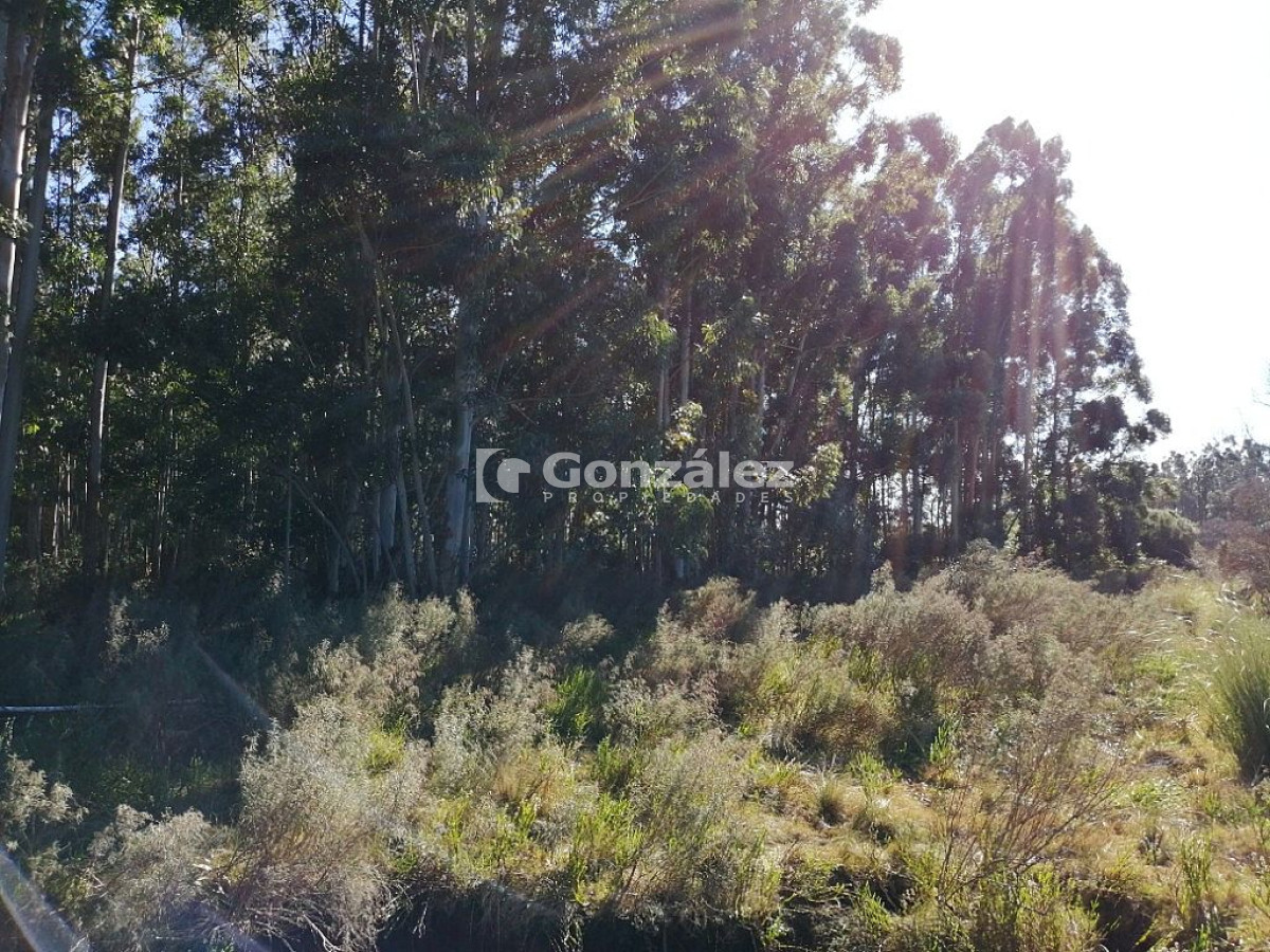 Chacra ID.340 - CAMPO IDEAL PARA INVERSIÓN TURÍSTICA