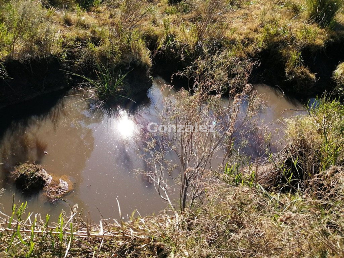 Chacra ID.340 - CAMPO IDEAL PARA INVERSIÓN TURÍSTICA
