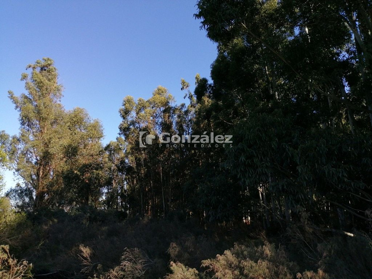 Chacra ID.340 - CAMPO IDEAL PARA INVERSIÓN TURÍSTICA