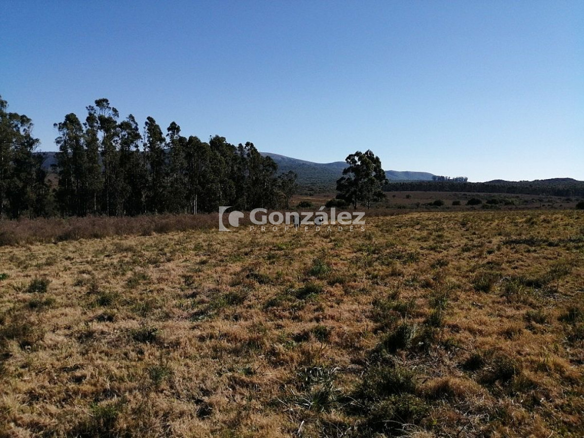 Chacra ID.340 - CAMPO IDEAL PARA INVERSIÓN TURÍSTICA
