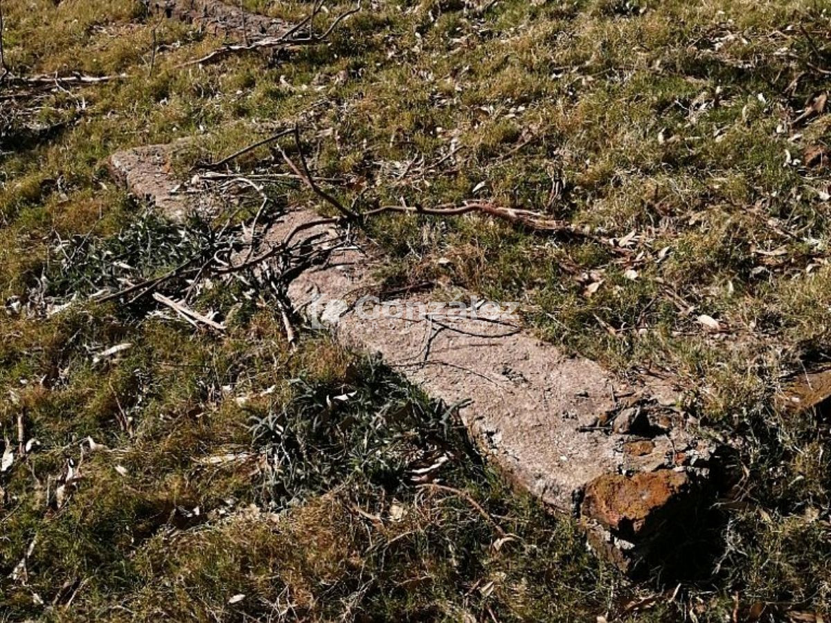 Chacra ID.340 - CAMPO IDEAL PARA INVERSIÓN TURÍSTICA