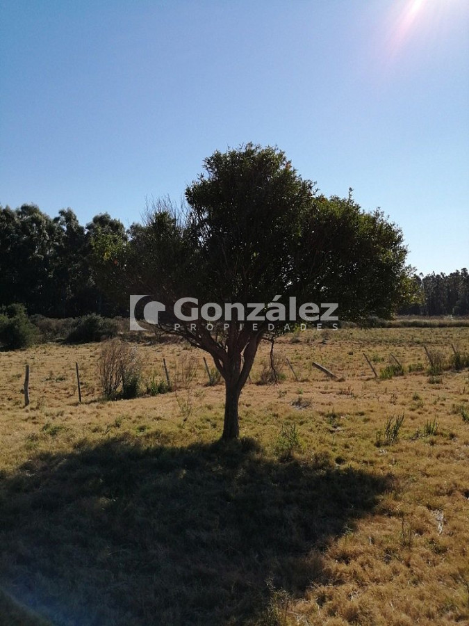 Chacra ID.340 - CAMPO IDEAL PARA INVERSIÓN TURÍSTICA