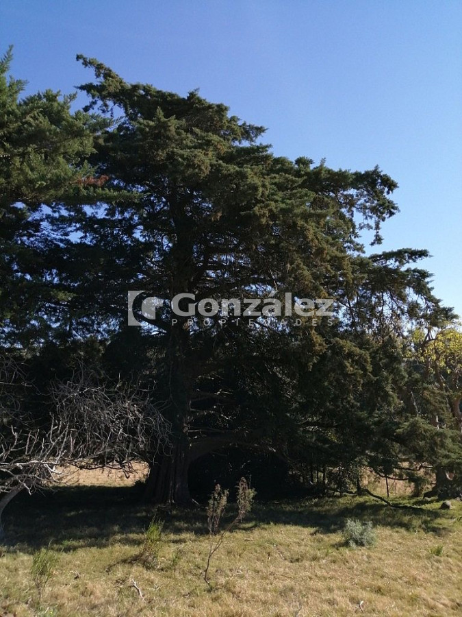 Chacra ID.340 - CAMPO IDEAL PARA INVERSIÓN TURÍSTICA