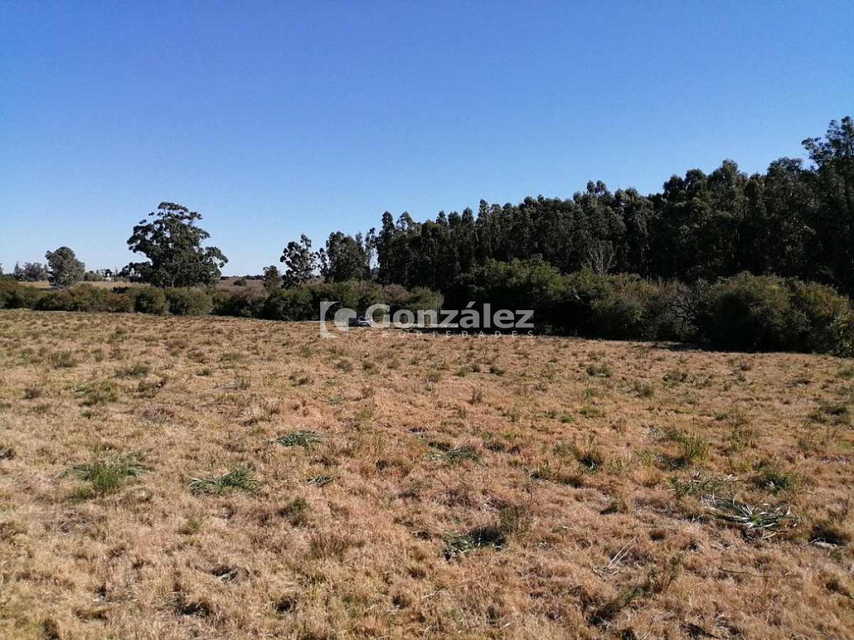 Chacra ID.340 - CAMPO IDEAL PARA INVERSIÓN TURÍSTICA