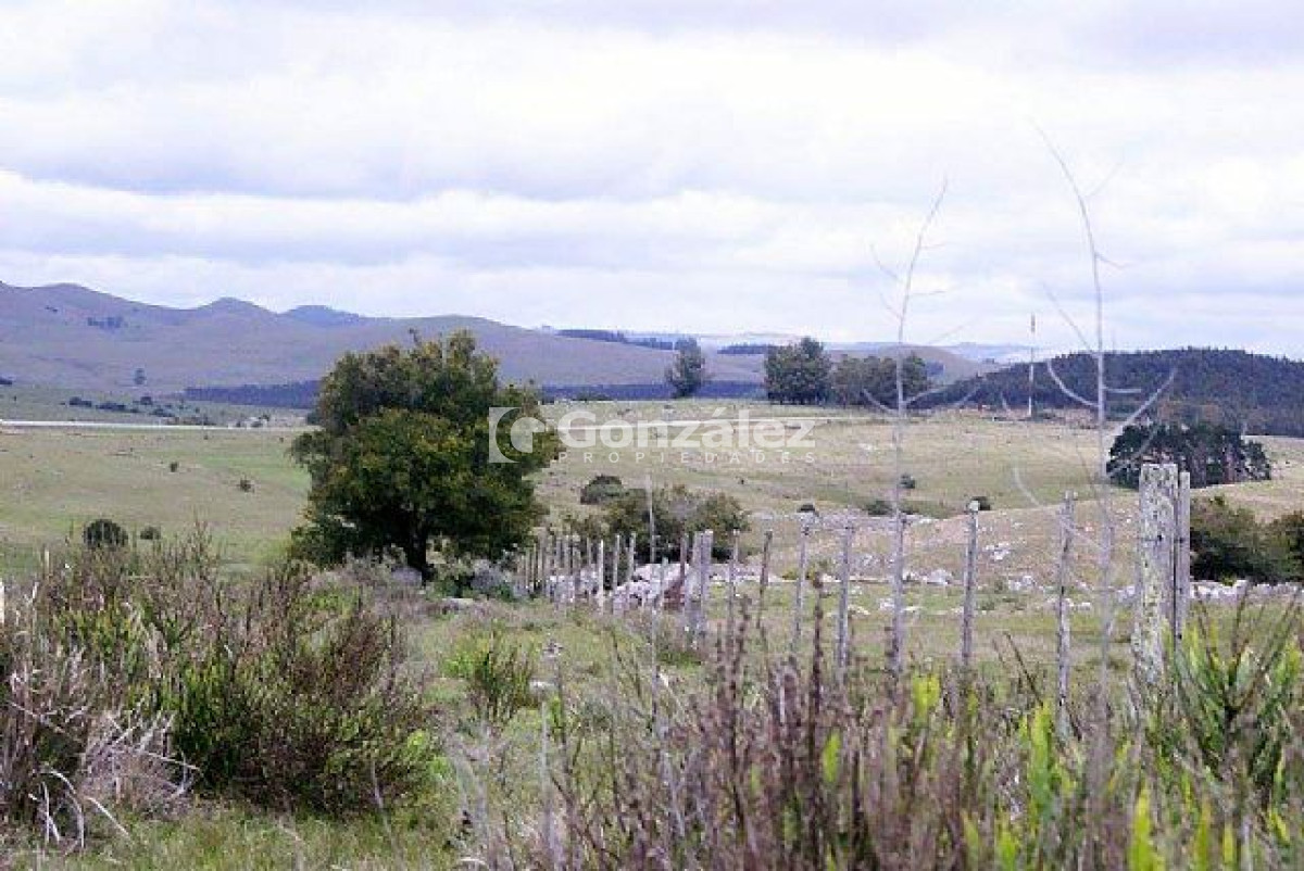 Zona Rural - GoPunta - Portal Inmobiliario de Punta del Este - Maldonado