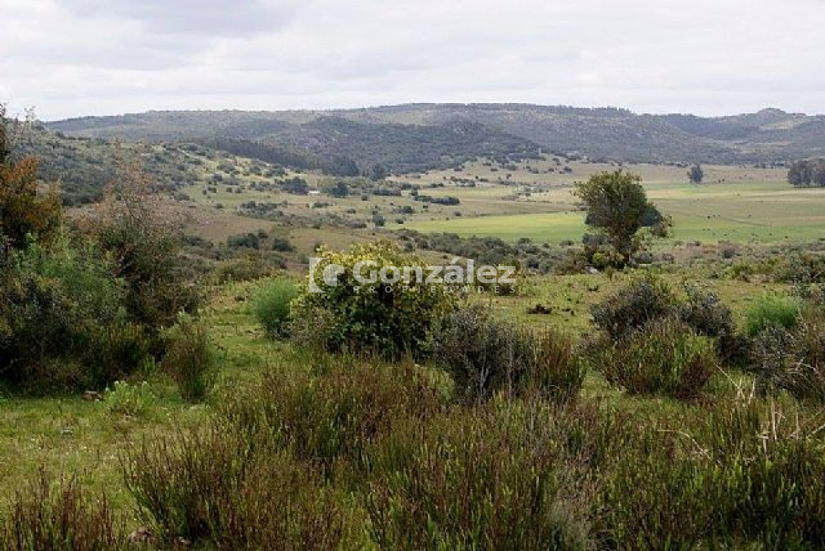 Zona Rural - GoPunta - Portal Inmobiliario de Punta del Este - Maldonado
