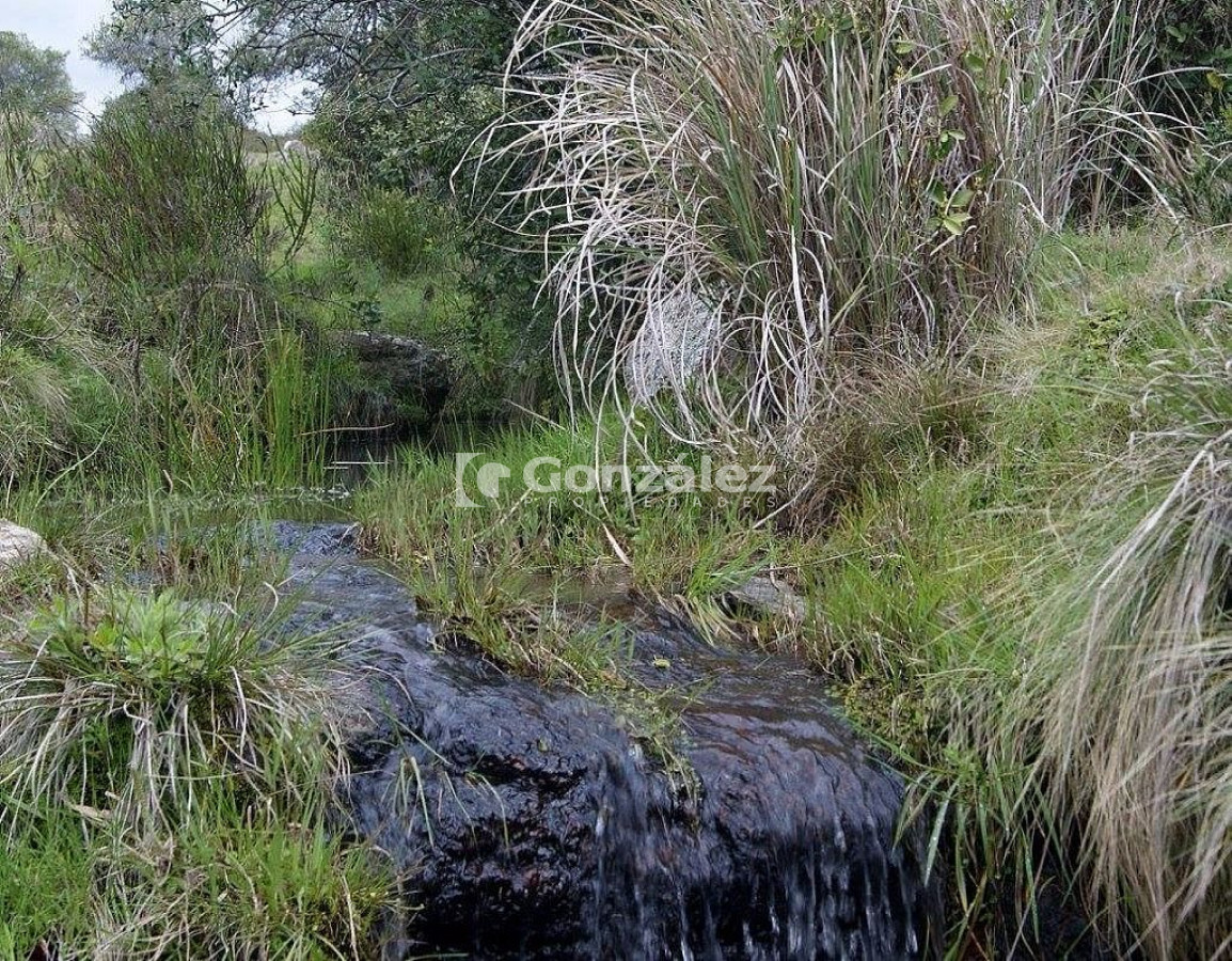 Zona Rural - GoPunta - Portal Inmobiliario de Punta del Este - Maldonado