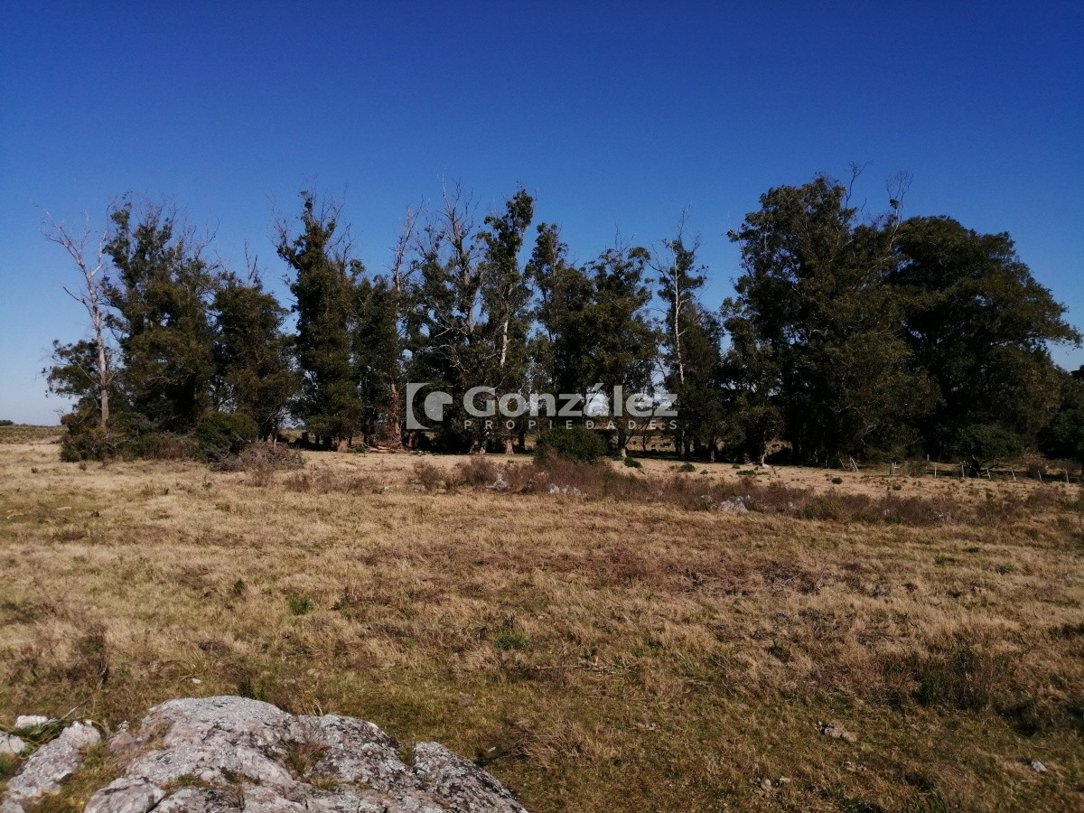 Chacra ID.340 - CAMPO IDEAL PARA INVERSIÓN TURÍSTICA