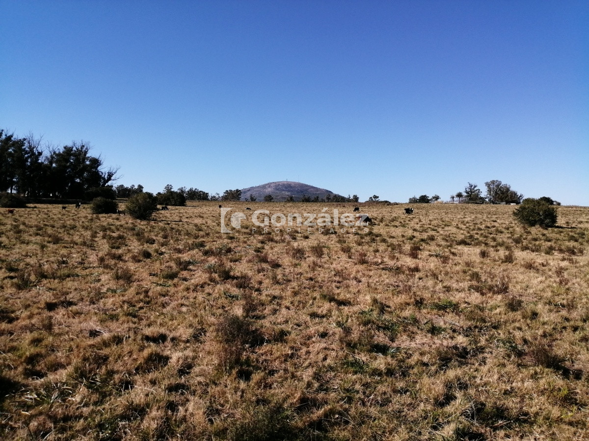 Chacra ID.340 - CAMPO IDEAL PARA INVERSIÓN TURÍSTICA