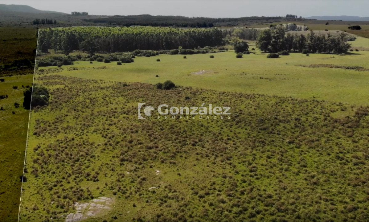 Chacra ID.340 - CAMPO IDEAL PARA INVERSIÓN TURÍSTICA