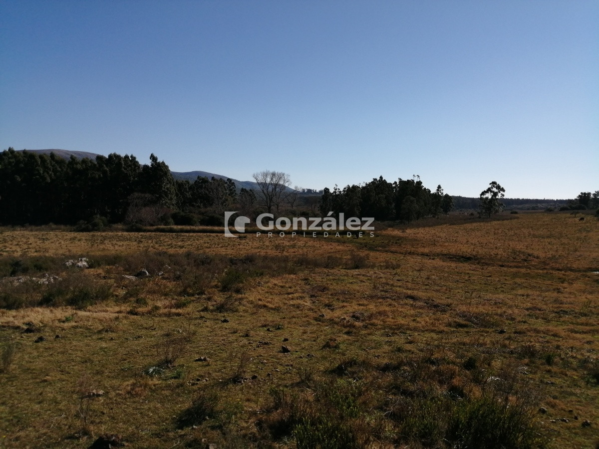 Chacra ID.340 - CAMPO IDEAL PARA INVERSIÓN TURÍSTICA