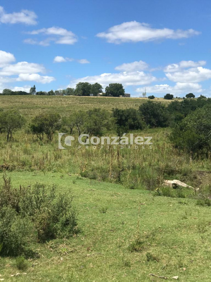 Chacra ID.717 - Chacra de 8 hectáreas  