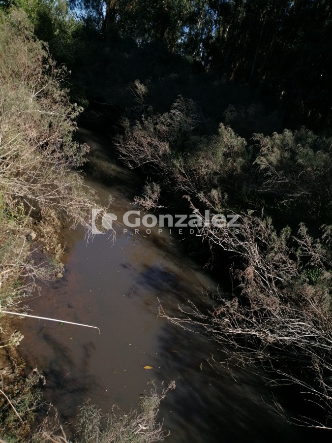 Chacra ID.340 - CAMPO IDEAL PARA INVERSIÓN TURÍSTICA