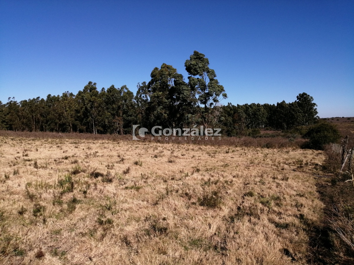 Chacra ID.340 - CAMPO IDEAL PARA INVERSIÓN TURÍSTICA