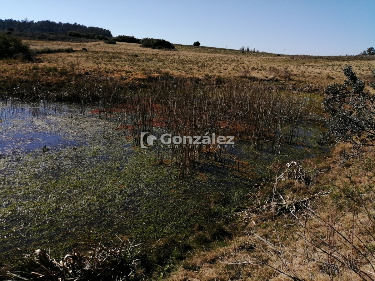 Chacra ID.340 - CAMPO IDEAL PARA INVERSIÓN TURÍSTICA