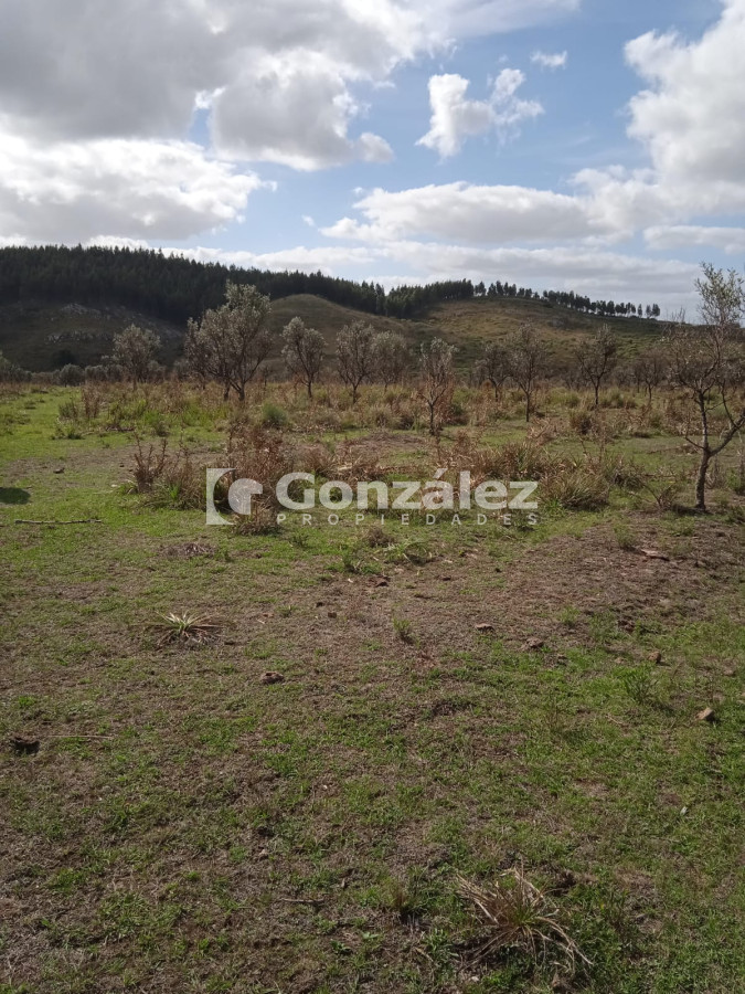 Chacra ID.620 - chacras  de  5 has Ruta  12 prox. de  Ruta 60