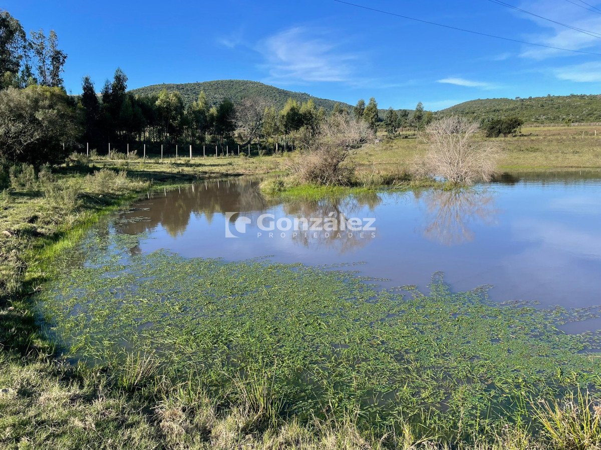 Chacra ID.811 - Chacra 5has financiada en Cerros Azules Maldonado