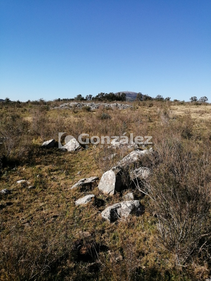 Chacra ID.340 - CAMPO IDEAL PARA INVERSIÓN TURÍSTICA