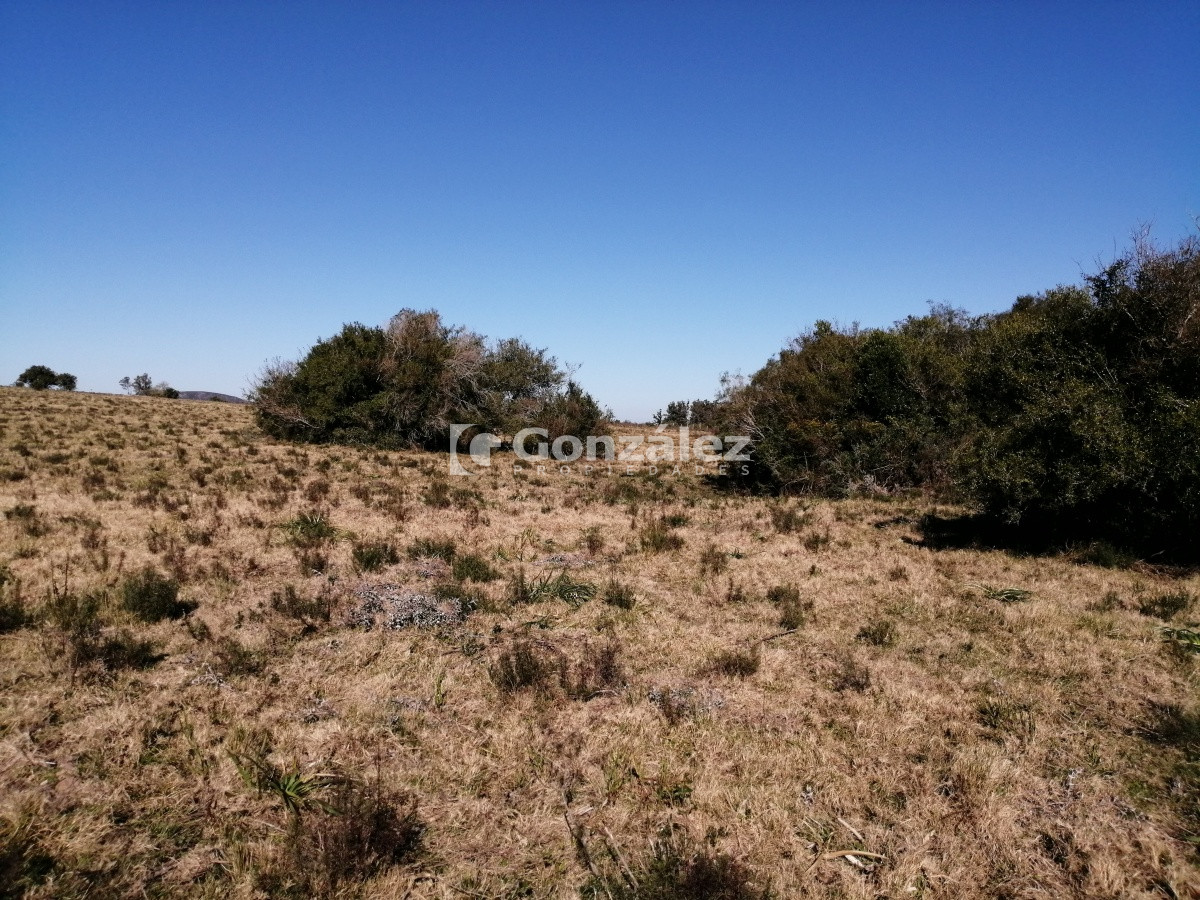 Chacra ID.340 - CAMPO IDEAL PARA INVERSIÓN TURÍSTICA
