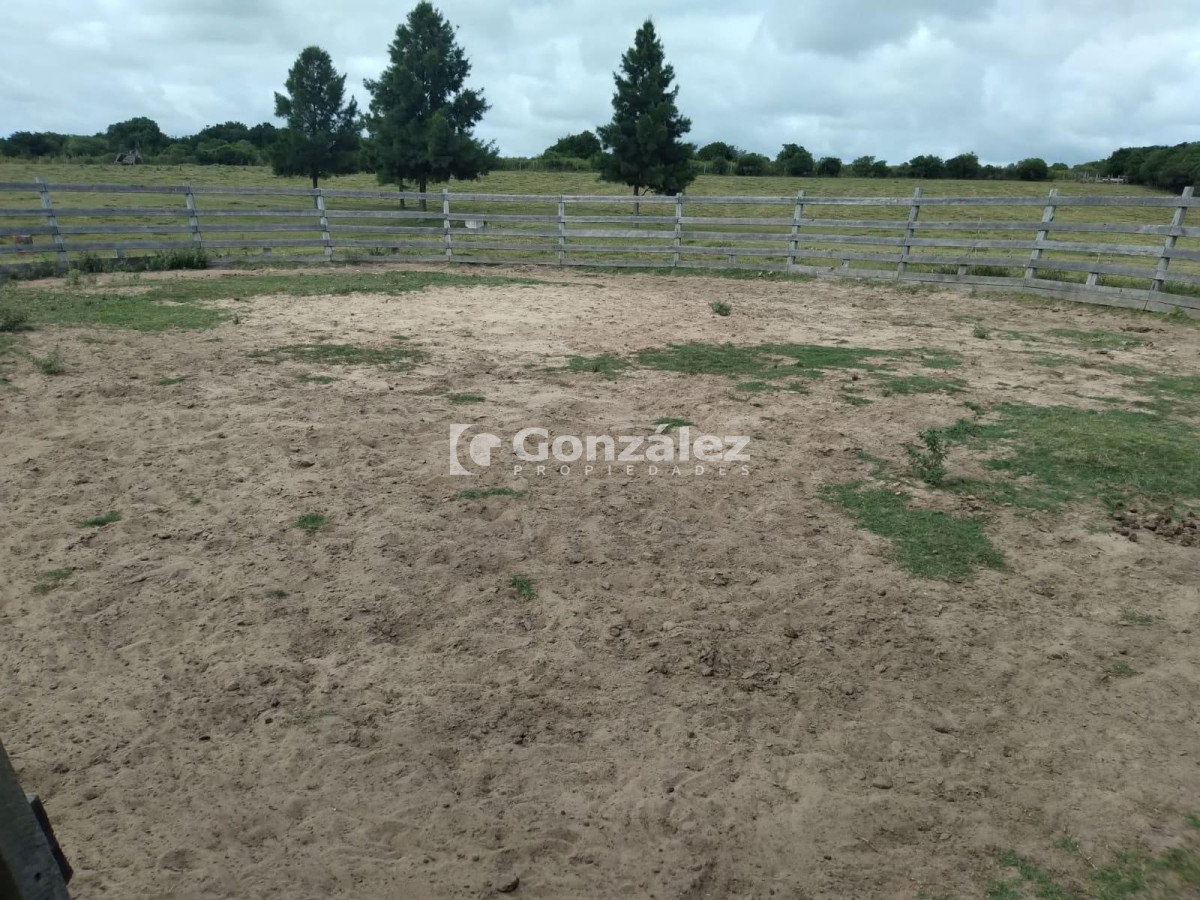 Zona Rural - GoPunta - Portal Inmobiliario de Punta del Este - Maldonado