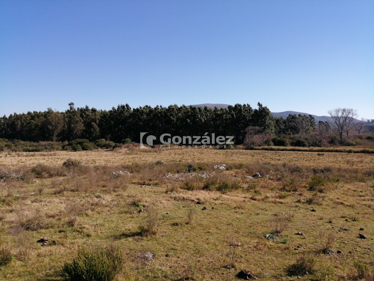 Chacra ID.340 - CAMPO IDEAL PARA INVERSIÓN TURÍSTICA